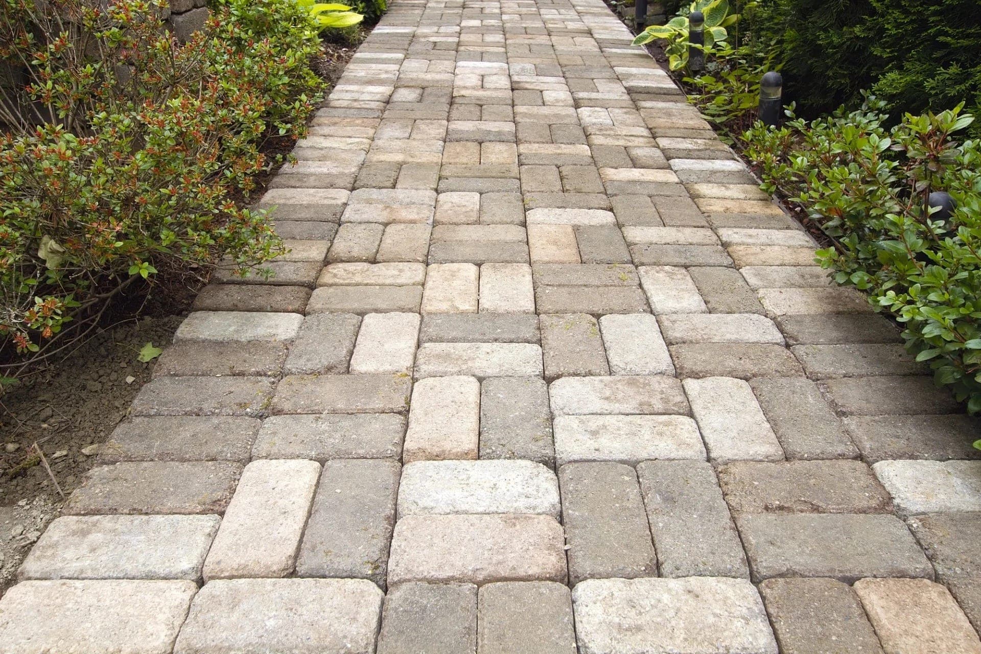 Close view of multicolored interlocking paver walkway lined with shrubs and path lights.